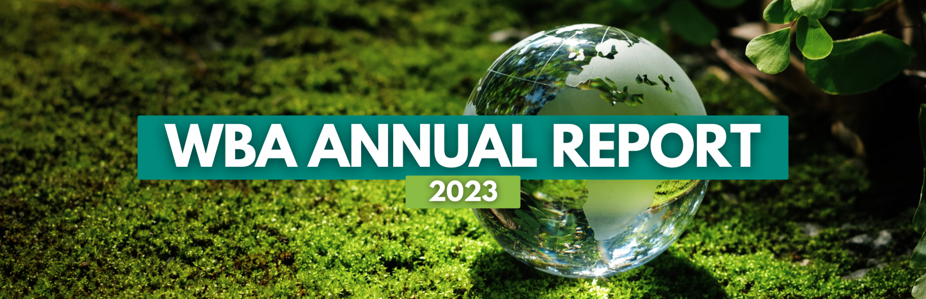 1729342613_0_Annual_Report_2023_Website_Banner-8617c9872db69c863e310563a15a6245.png